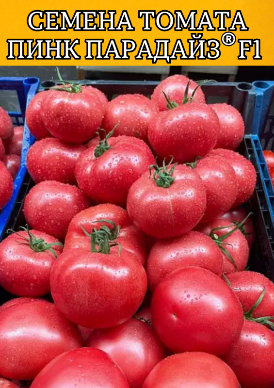 Пинк Парадайз F1 500 штук семена розового томата
