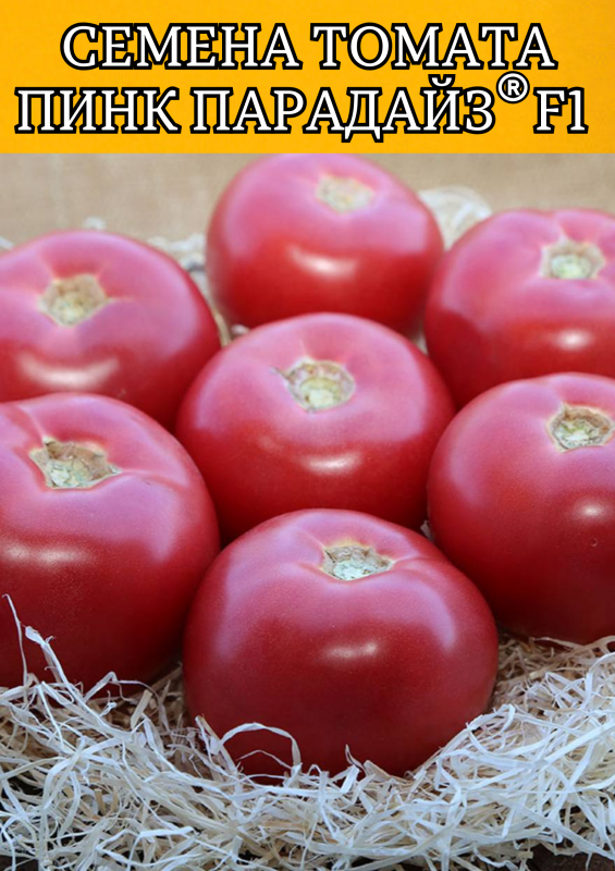 Пинк Парадайз F1 500 штук семена розового томата