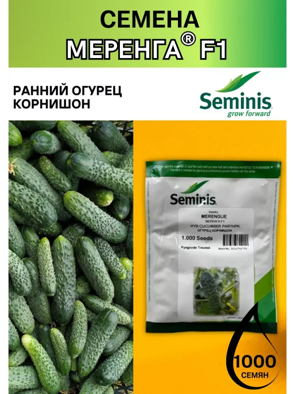 Меренга F1 семена огурца корнишона раннего