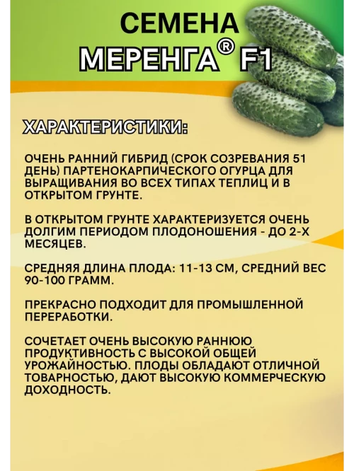 Меренга F1 семена огурца корнишона раннего