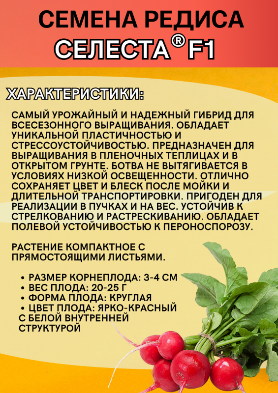 Селеста F1 семена редиса