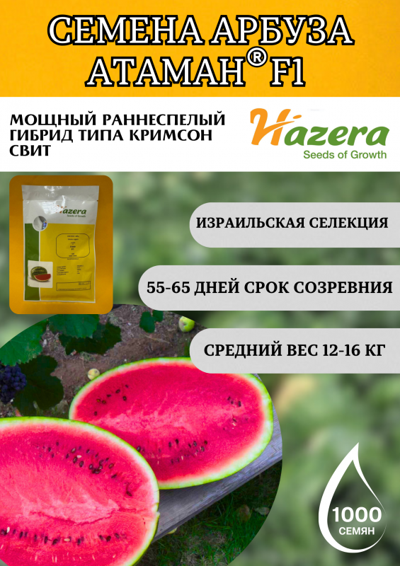 Атаман F1 семена арбуза