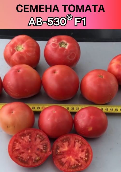 АВ-530 F1 семена томата