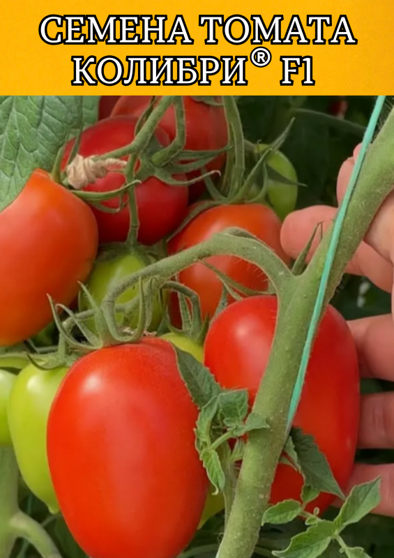 Колибри F1 250 штук семена томата