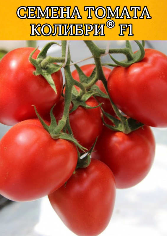 Колибри F1 250 штук семена томата
