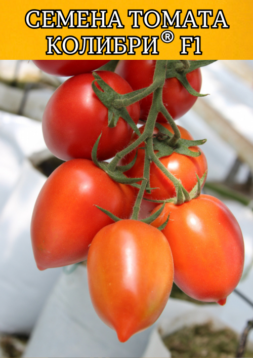 Колибри F1 250 штук семена томата