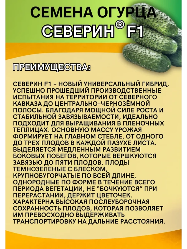 Северин F1 семена огурца