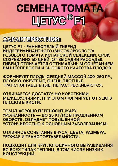Цетус F1 семена томата