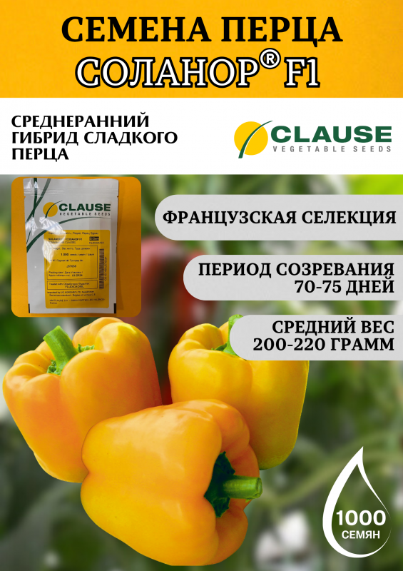 Соланор F1 семена сладкого перца