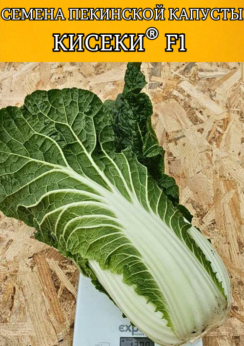Кисеки F1 семена пекинской капусты