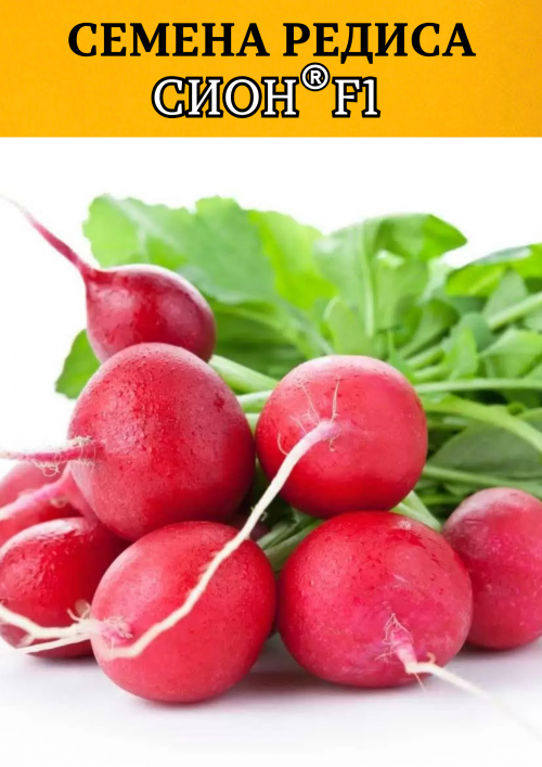 Сион F1 25 000 штук семена редиса