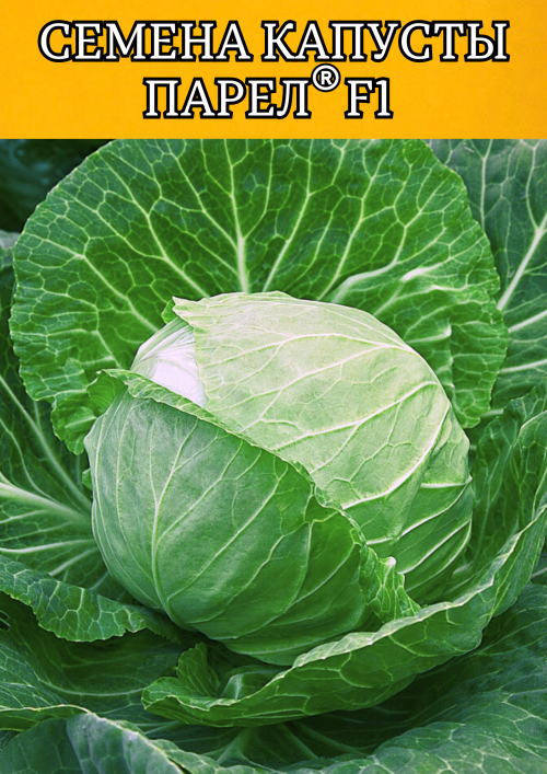 Парел F1 2500 штук семена капусты белокочанной
