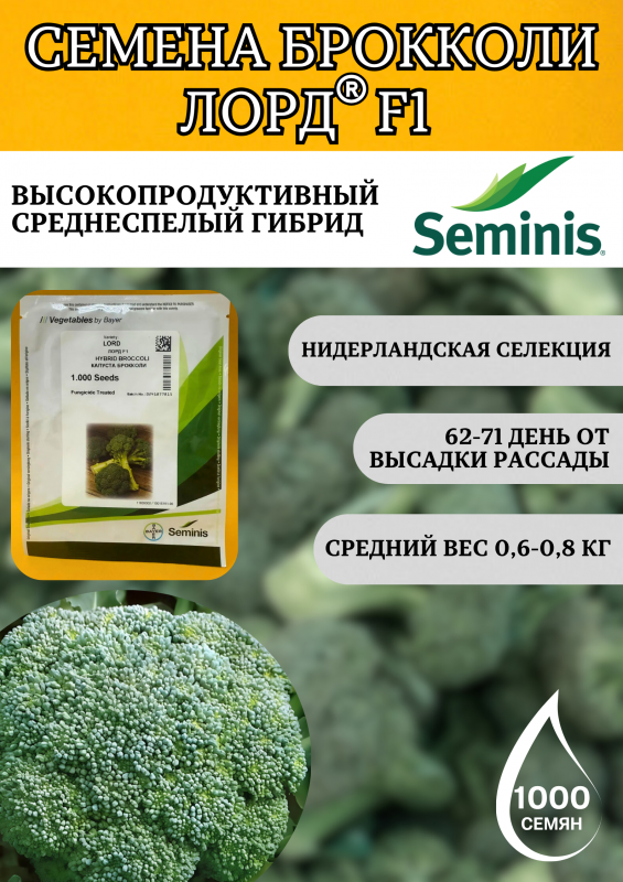 Лорд F1 семена капусты брокколи