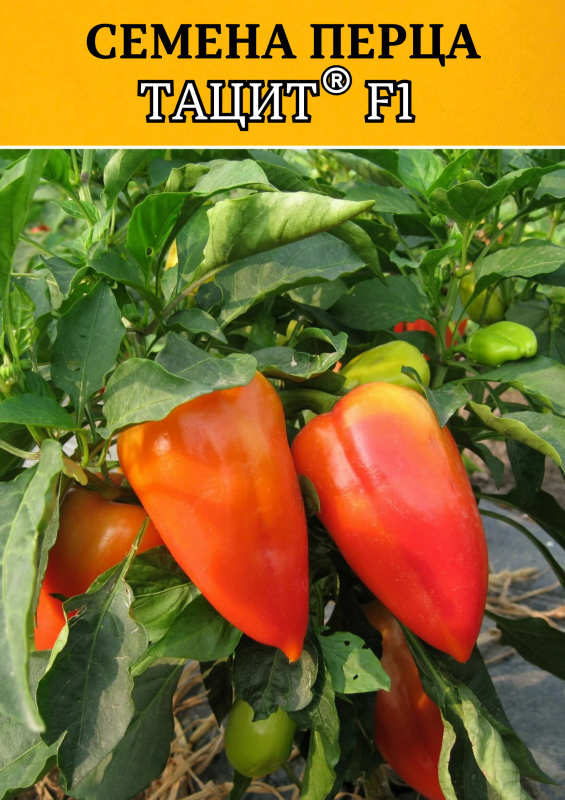 Тацит F1 семена сладкого перца