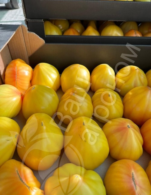 Мадрид F1 семена желтого томата