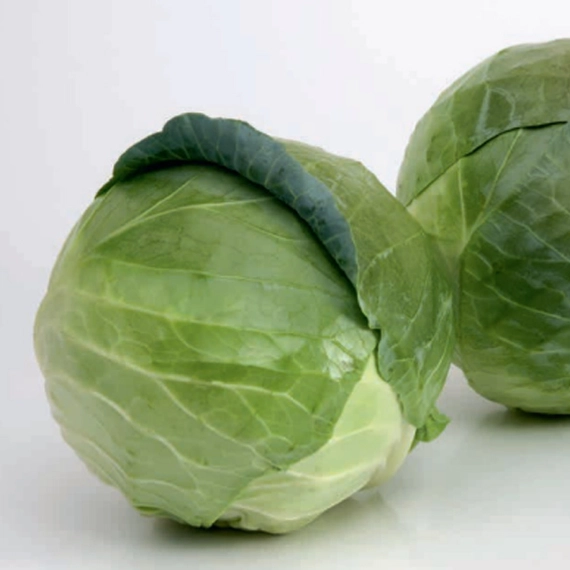 Бухарест F1 2500 семян капусты белокочанной