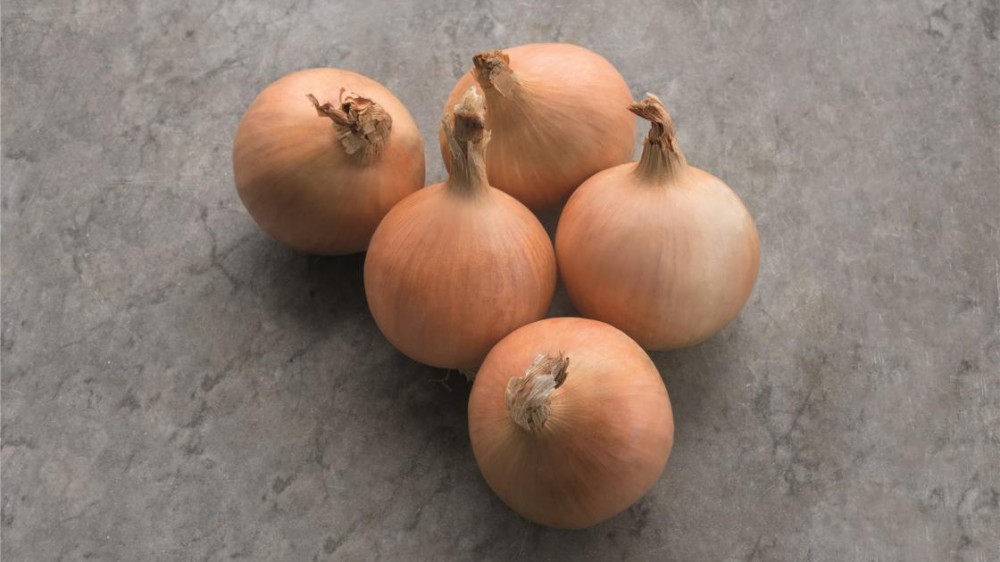 Дритан F1 семена лука 250 000 штук