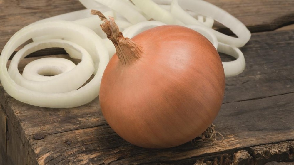 Бирди F1 семена лука 250 000 штук