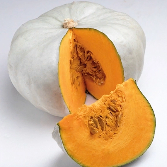 Нельсон F1 тыква 500 семян