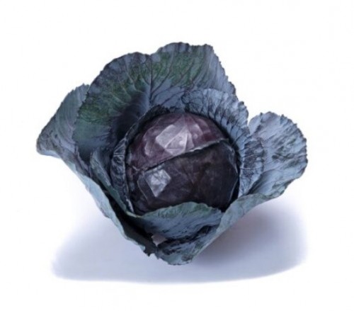 Руби Перфекшн F1 капуста краснокочанная 2500 семян