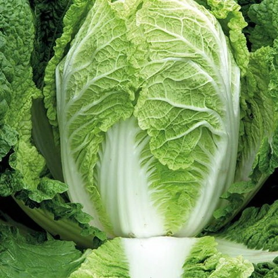 Предуро F1 капуста пекинская 2500 семян