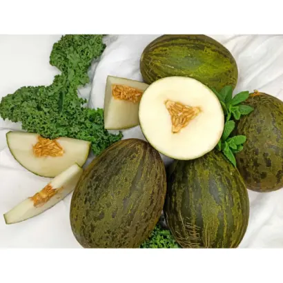 Алькарез F1 дыня 1000 семян