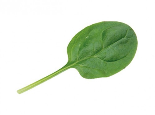 Акадия F1 шпинат