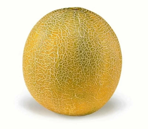 Айкидо F1 дыня 1000 семян