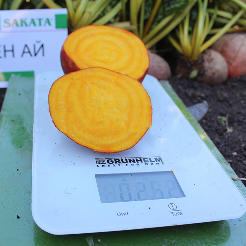 Голден Ай свекла 50 000 семян