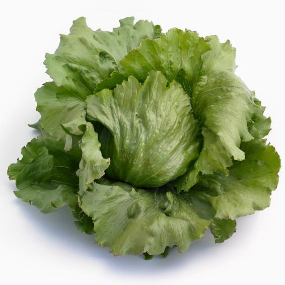 Айс Циркль айсберг 5000 семян